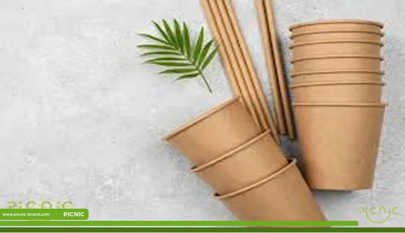 ظروف جایگزین پلاستیک