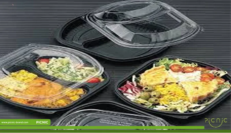 ظرف هات دلیوری دو خانه