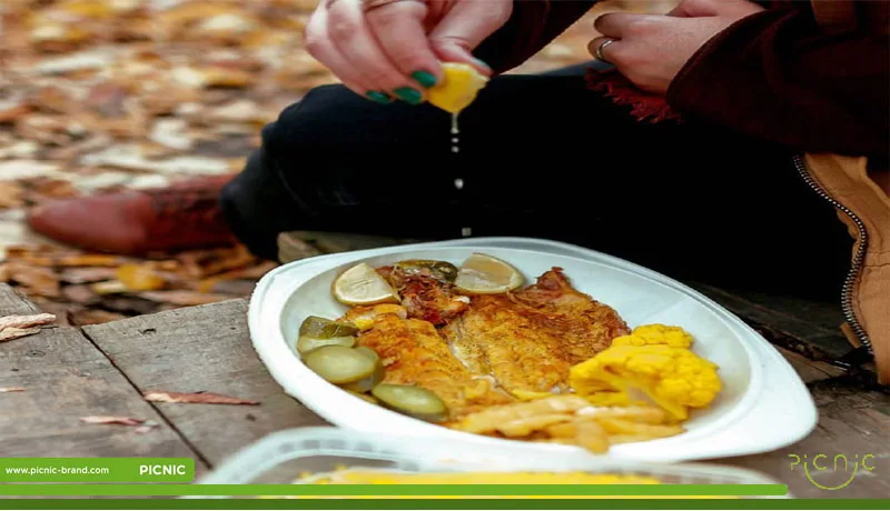 ظروف یک بار مصرف گیاهی از چه موادی ساخته می شود؟