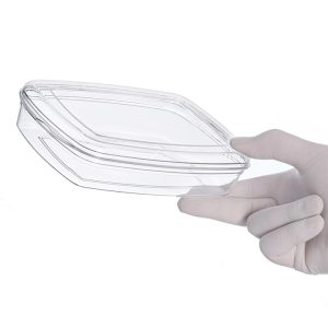 ظرف یکبار مصرف کریستالی