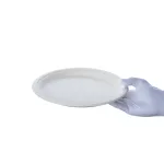 بشقاب یکبار مصرف کاغذی گرد باگاس پيکنيک 10 اینج