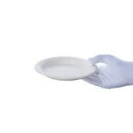 بشقاب یکبار مصرف کاغذی گرد باگاس پيکنيک 7 اینچ