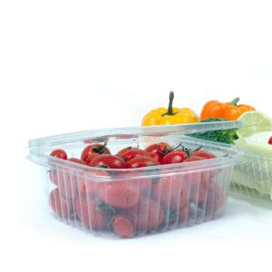 ظرف یکبار مصرف بلند دلی