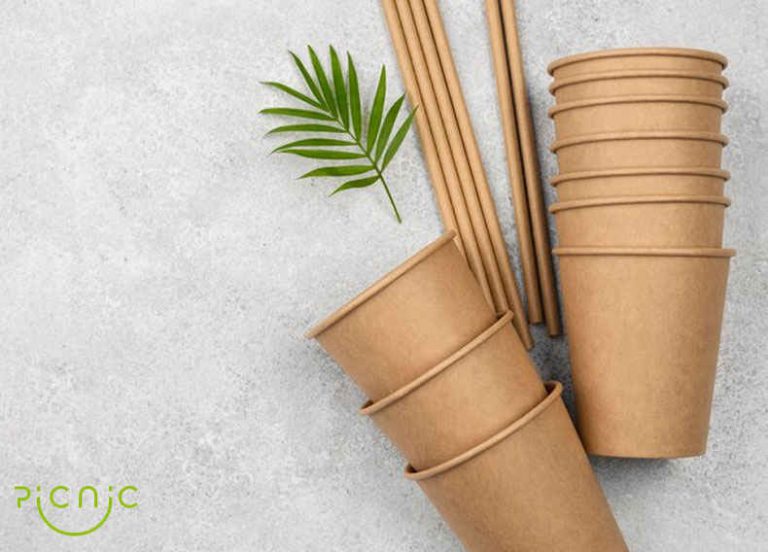 کاربردهای باگاس نیشکر در صنعت ظروف یکبار مصرف
