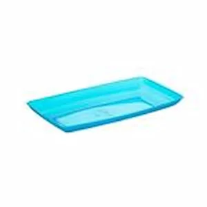 دیس یکبار مصرف الماس مدل رین بوو کوچک پیکنیک