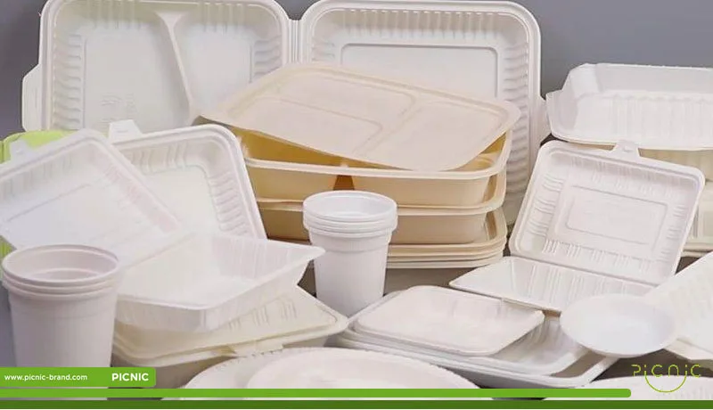  ظروف یکبار مصرف برای پیکنیک