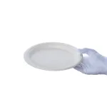 بشقاب یکبار مصرف کاغذی گرد باگاس پيکنيک 9 اینج