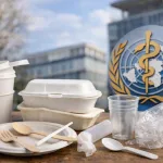 تحلیل وضعیت بهداشتی ظروف یکبارمصرف در سال ۲۰۲۶ از نگاه سازمان جهانی بهداشت