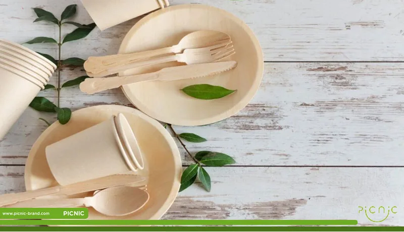 ظروف یکبار مصرف تجزیه پذیر